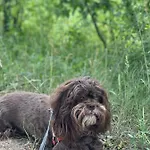 Mazurska Apartamento *