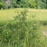 Mazurska Apartamento Orzysz