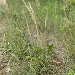 Apartamento Mazurska *