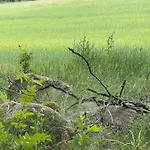 Apartamento Mazurska Orzysz