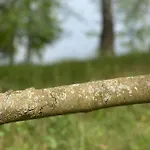 Apartamento Mazurska Orzysz