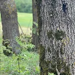 Mazurska Apartamento