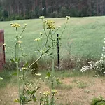 Appartamento Mazurska Orzysz