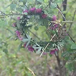 Mazurska Apartamento Orzysz