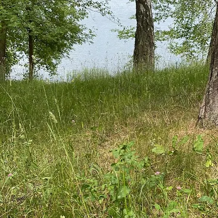 Mazurska Orzysz