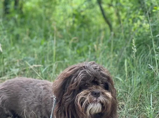 Mazurska Apartment *