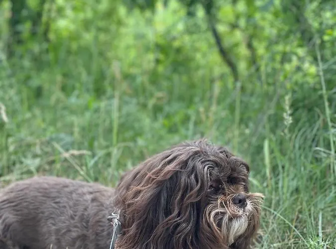 Apartment Mazurska Orzysz