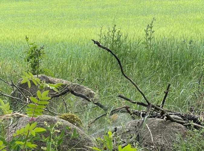 Apartment Mazurska Orzysz