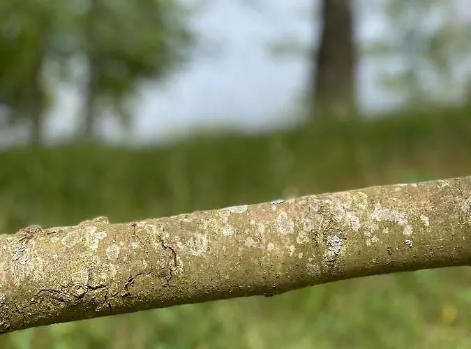 Apartment Mazurska Orzysz