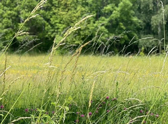 Mazurska Apartment *